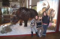 05 Exponáty Přírodovědeckého muzea