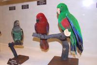 07 Přírodovědecké muzeum