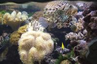 10 - Přírodovědecké muzeum - Vivárium