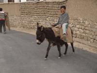 Radost z jízdy, radost ze hry