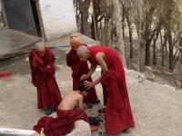 Mladí mniši si dělají jarní sestřih